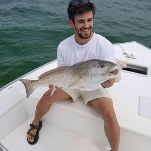 Meet your Posher, Will